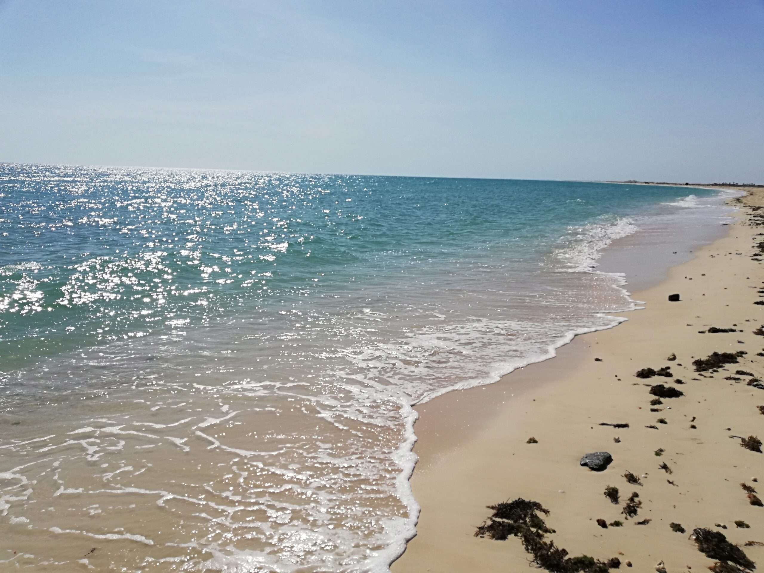 Explore the best beaches in Qatar: Fuwairit Beach