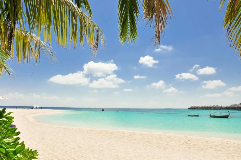 Best beaches in Amsterdam: Featured image