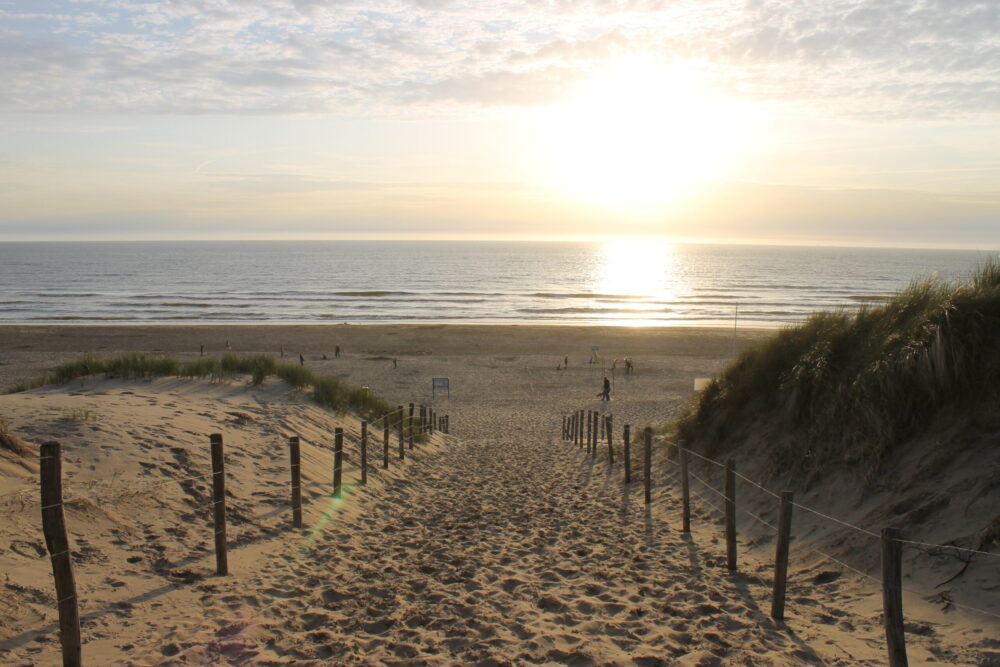 Explore the best beaches in Amsterdam: Bloemendaal aan Zee beach