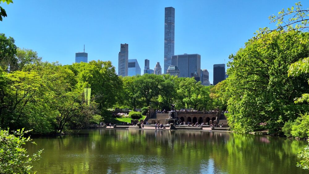Explore the best things to do in New York: Central Park