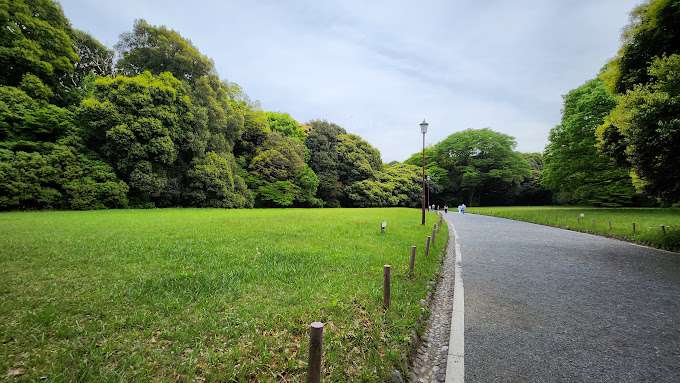 Explore the best things to do in Tokyo: Escape into the inner city sanctum