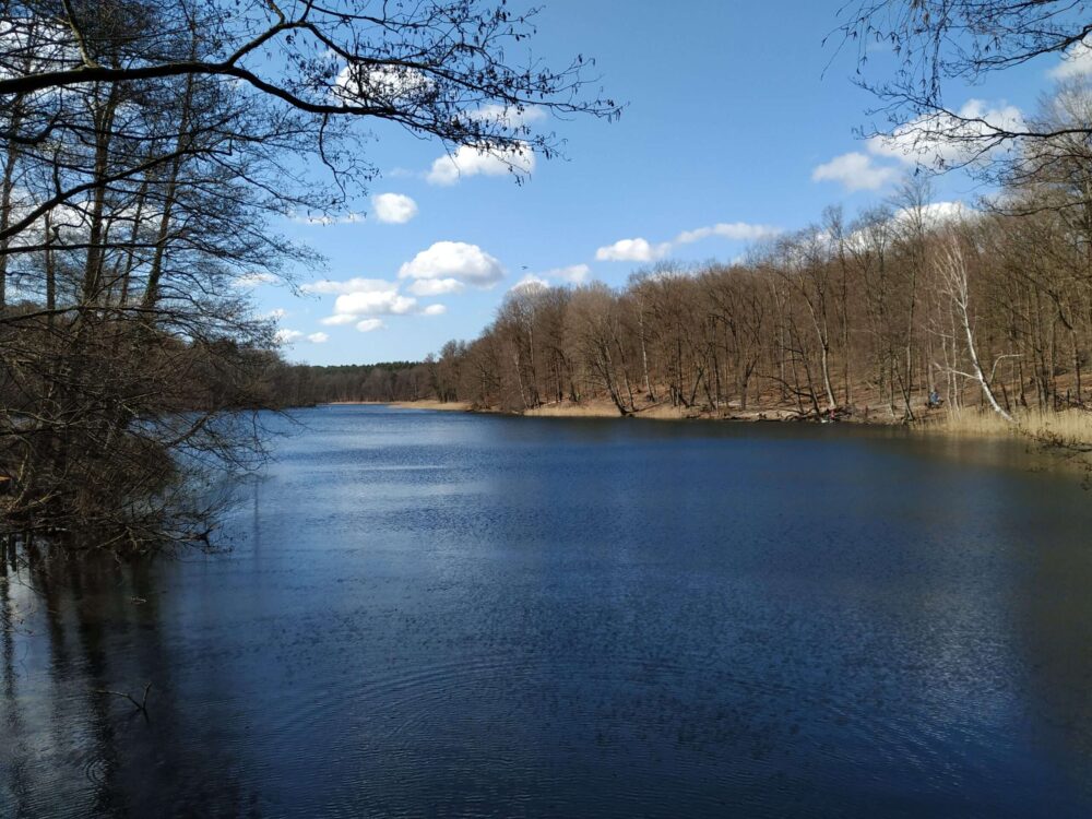 Explore the best lakes and beaches in Berlin: Krumme Lanke 