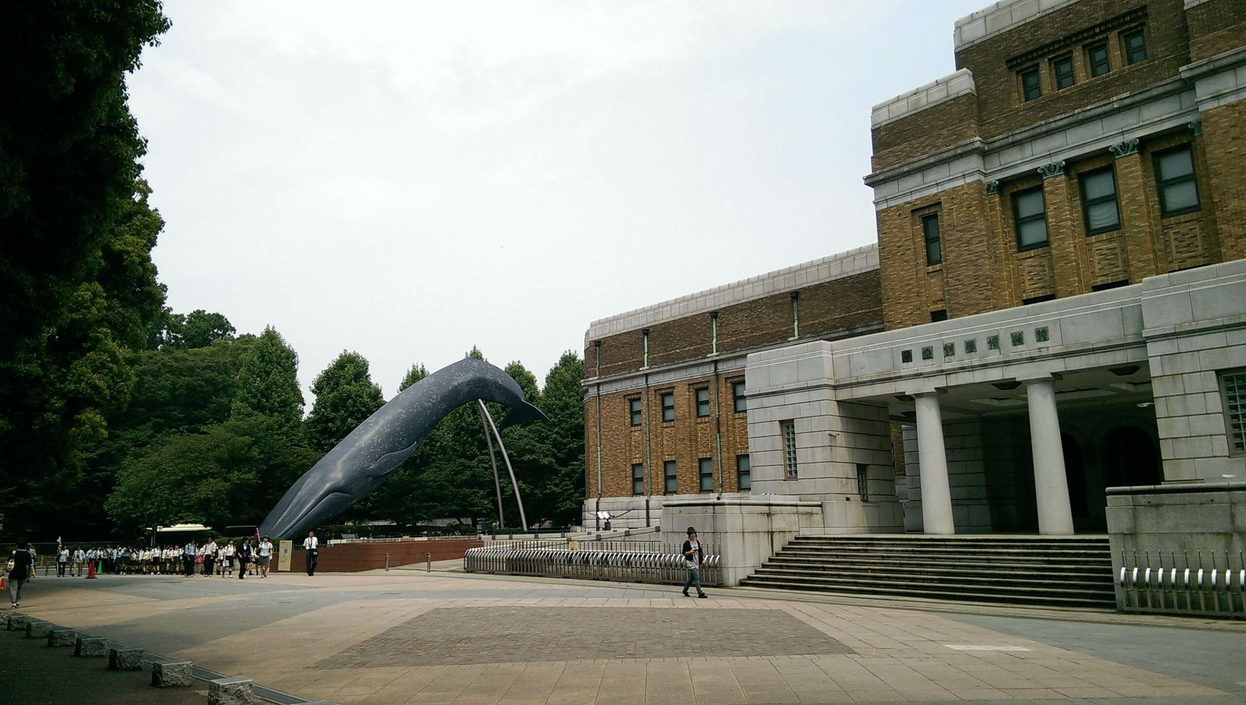 Explore the best museums in Tokyo: National Museum of Nature and Science