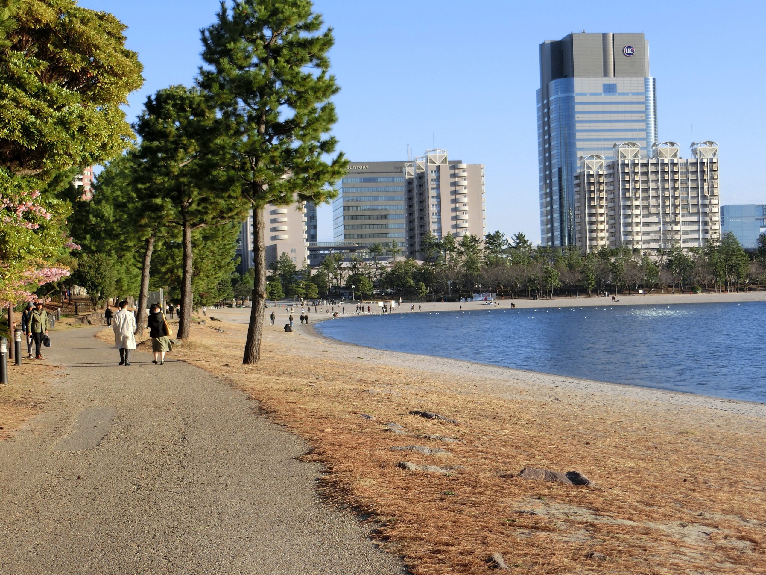 Explore the best beaches near Tokyo: Odaiba Beach
