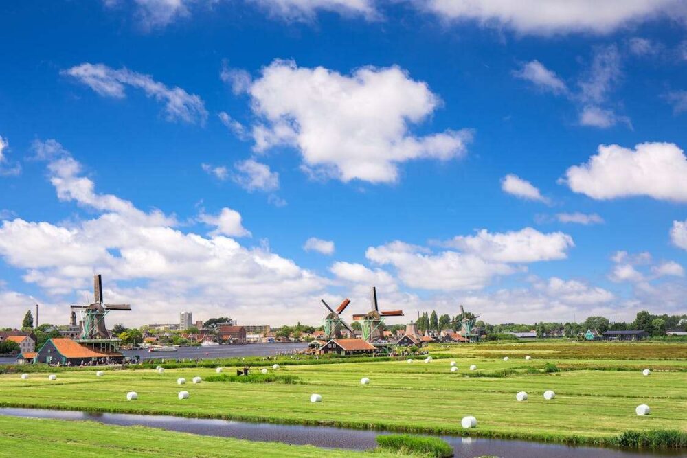 Explore the best things to do in Amsterdam: See Windmills and Countryside