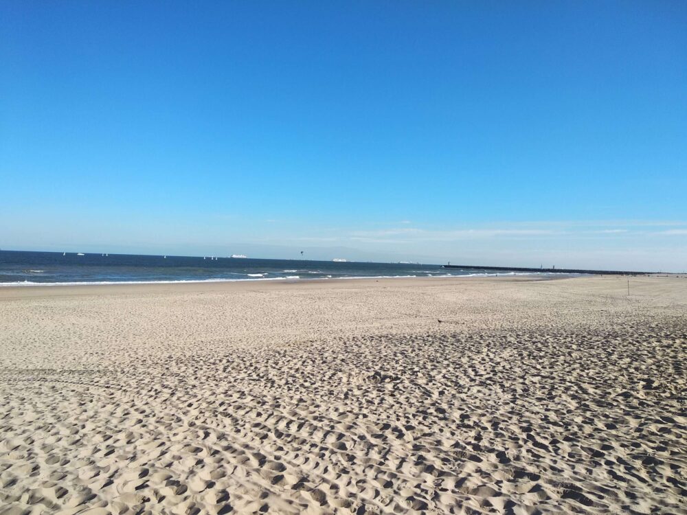 Explore the best beaches in Amsterdam: Strandzuid beach