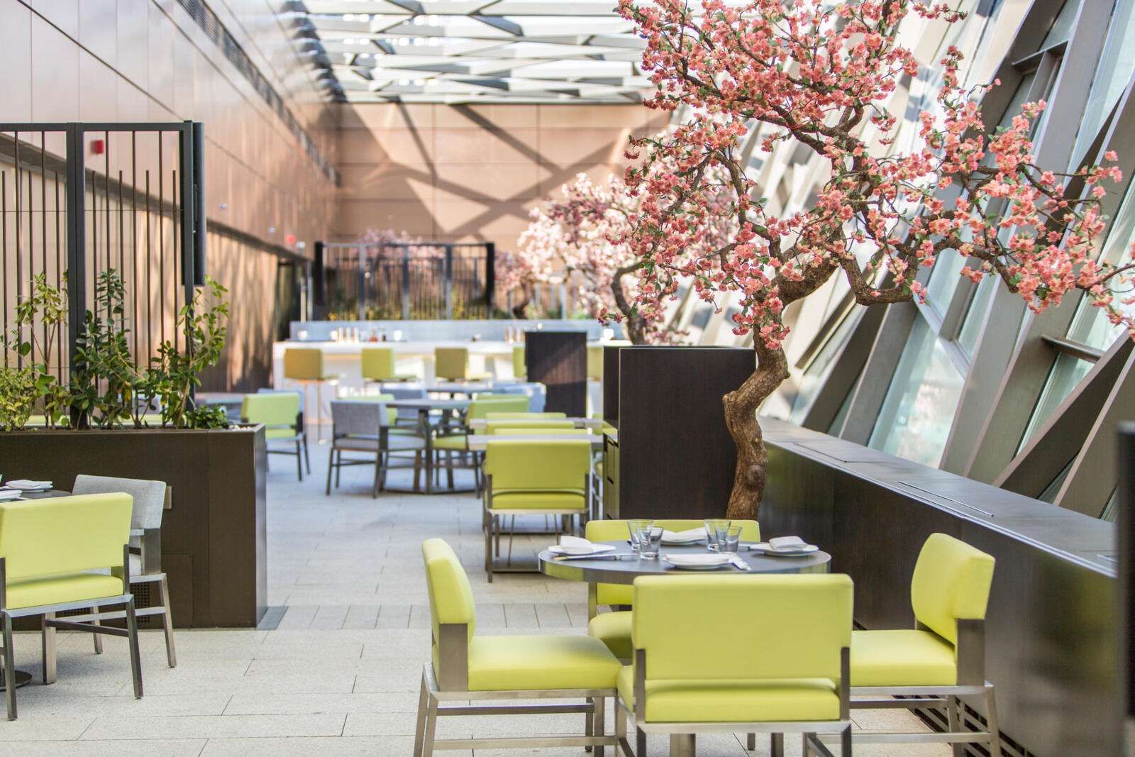 Explore the best restaurants in Saudi Arabia: Yauatcha Riyadh Restaurant