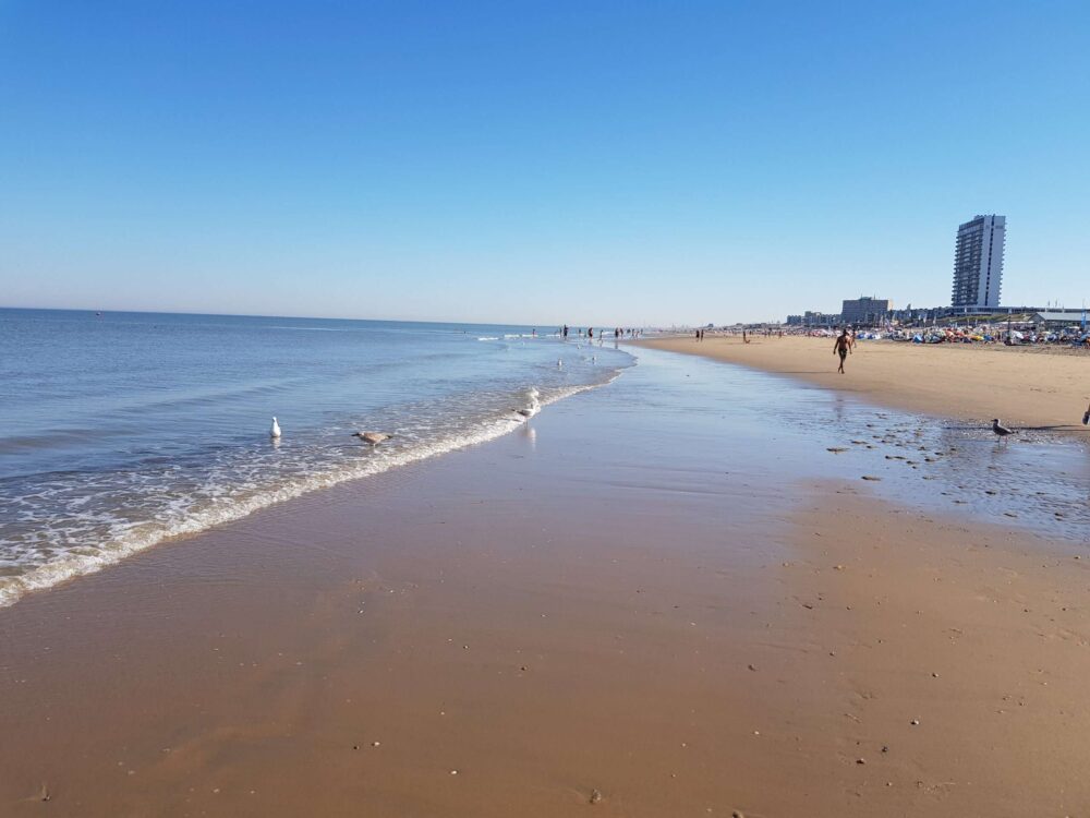 Explore the best beaches in Amsterdam: Zandvoort Beach