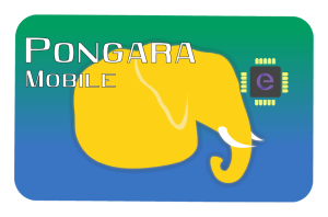 eSIM Data Bundle Gabon eSimly Data Roaming