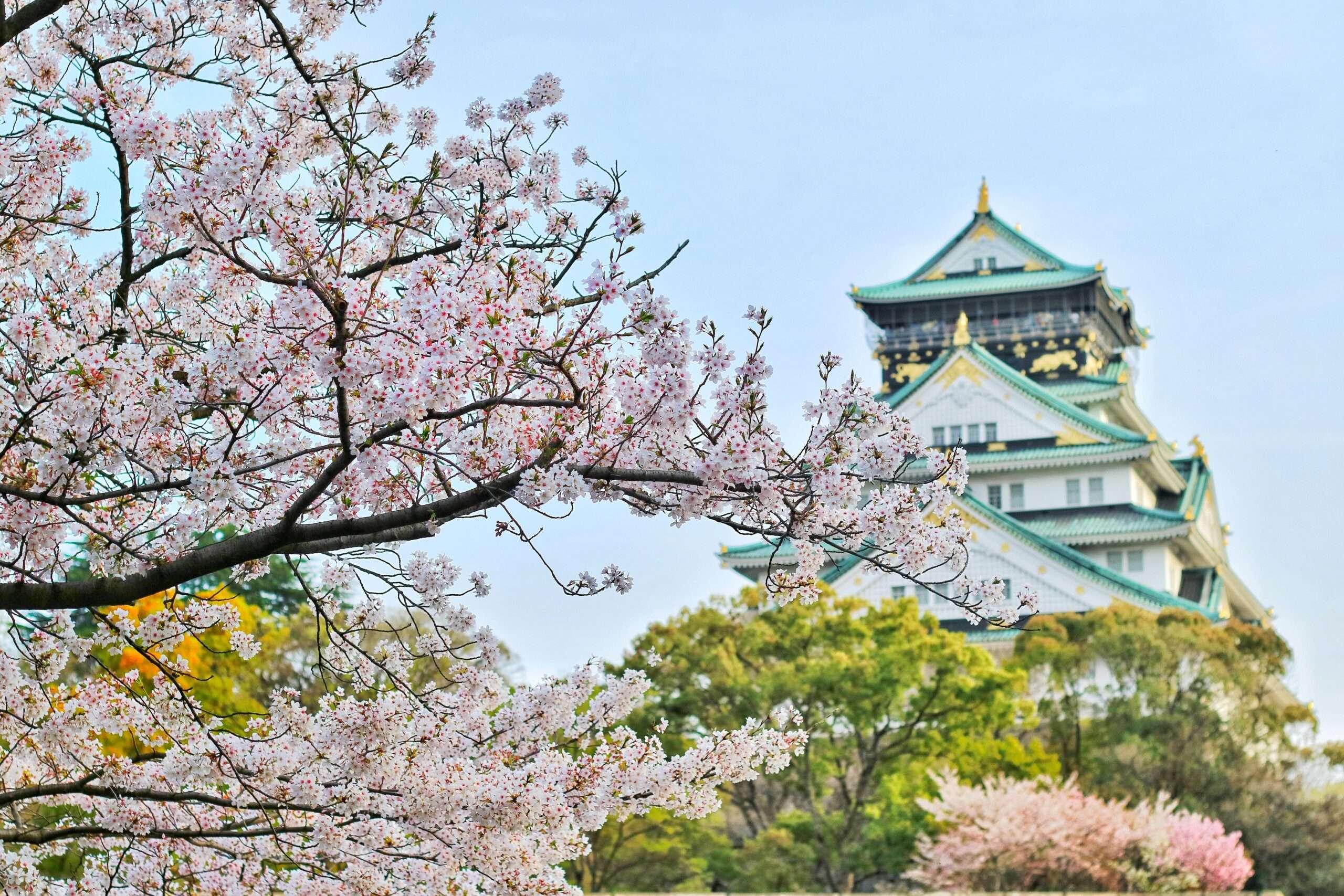 Best things to do in Osaka: Featured image