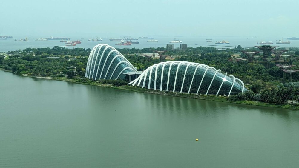 Explore the best things to do in Singapore: Cloud Forest