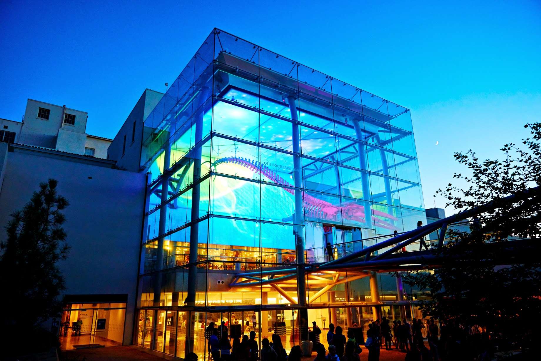 Explore the best museums in Los Angeles: Natural History Museum