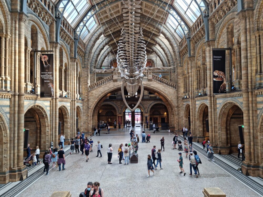 Explore the best museums in London: Natural History Museum