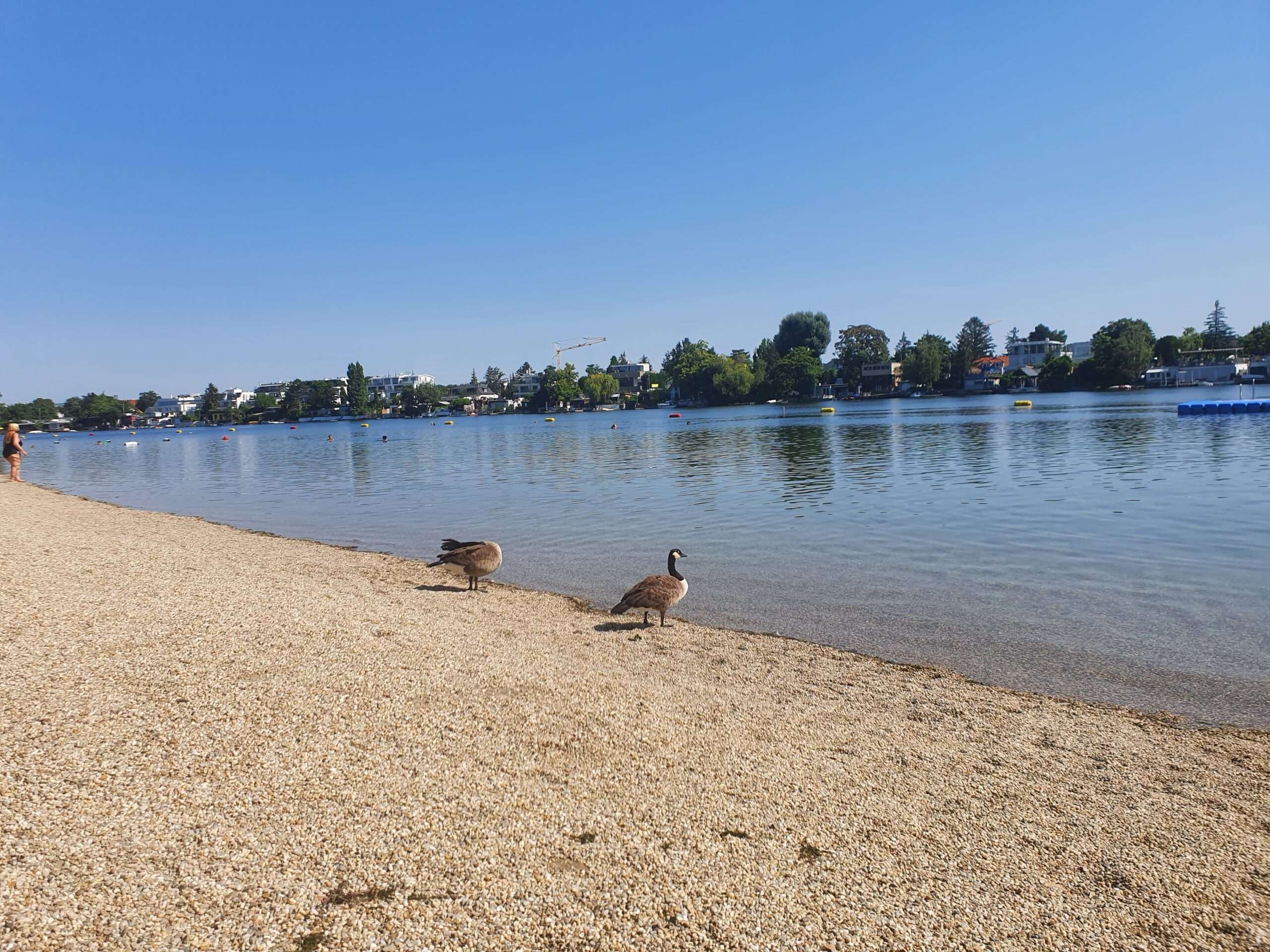Explore the best beaches near Vienna: Strandbäder Alte Donau