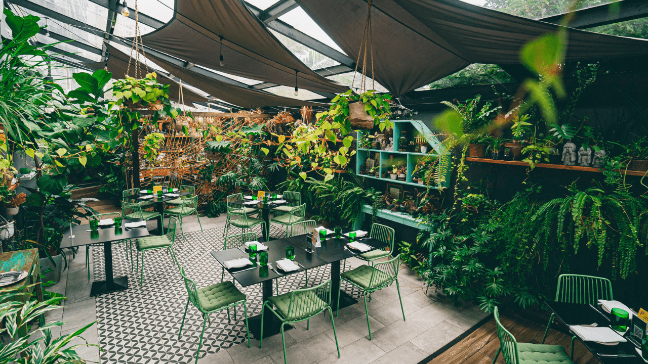 Explore the best restaurants in Panama: BOTANICA PIZZA