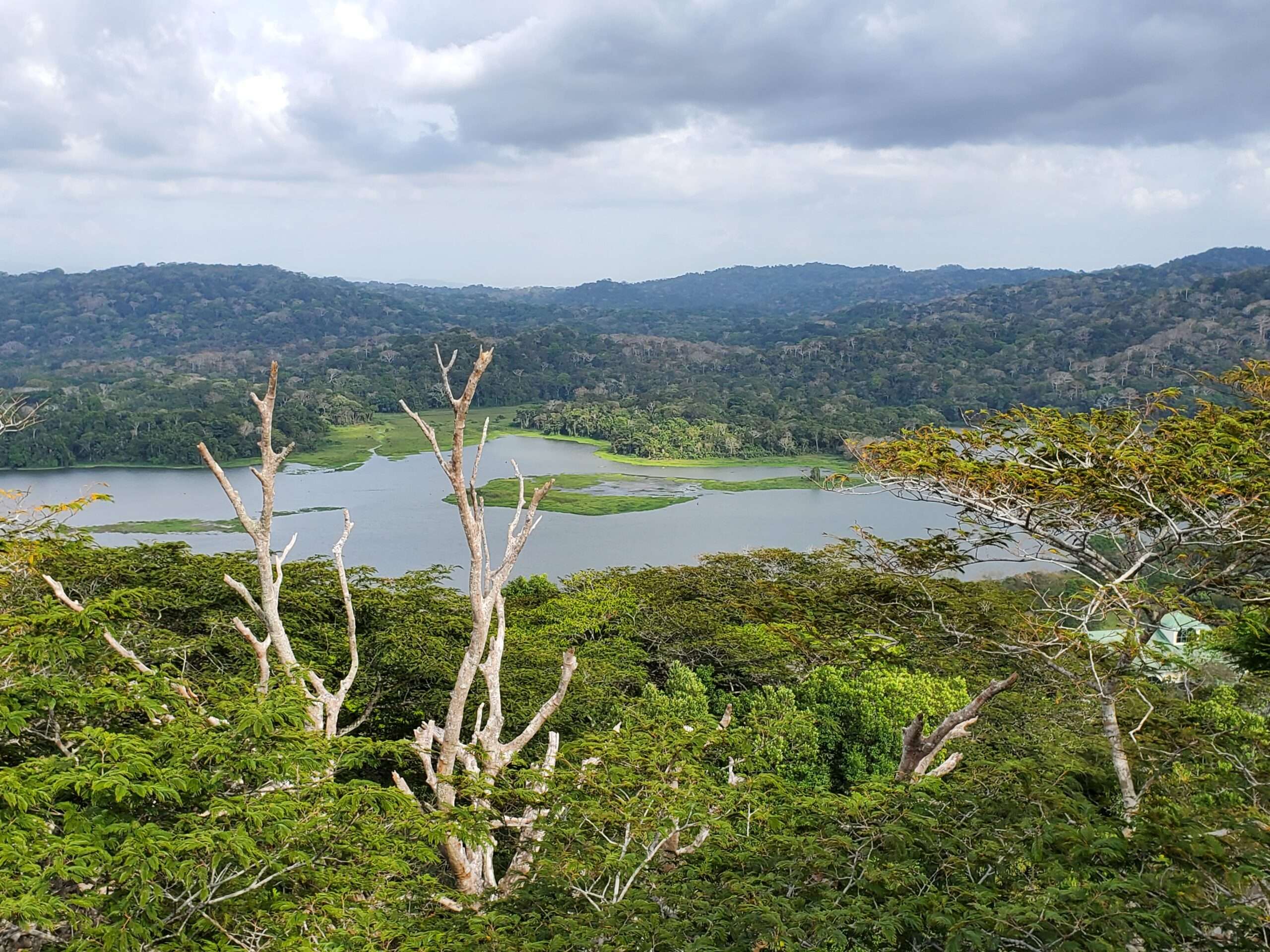 Explore the best things to do in Panama: Soberania National Park