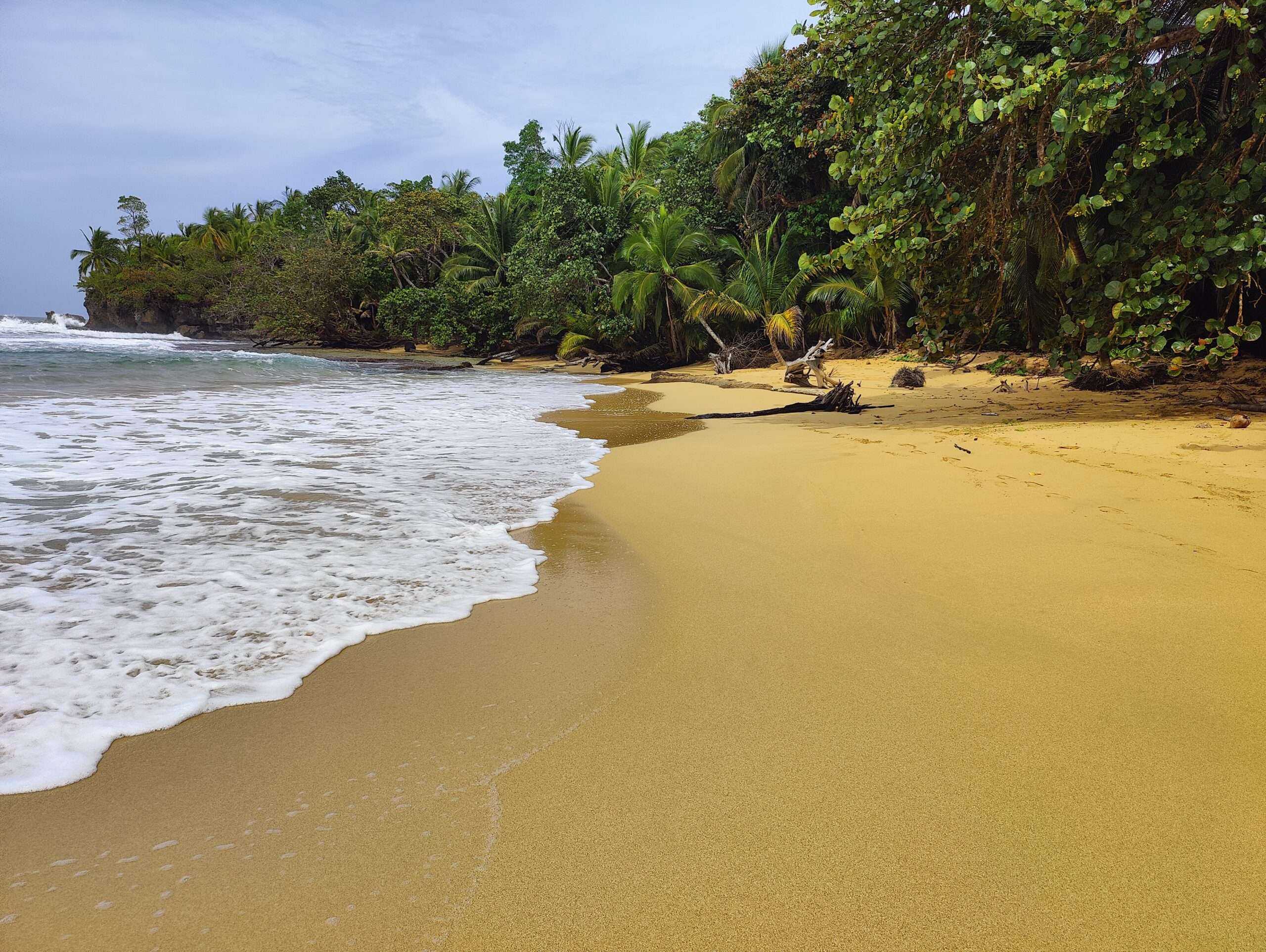 Explore the best beaches in Panama: Bluff Beach