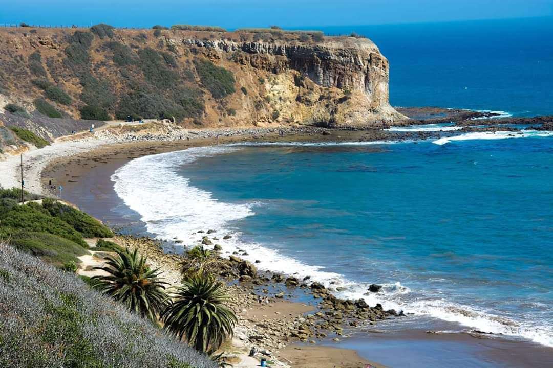 Explore the best beaches in Los Angeles: Abalone Cove Park