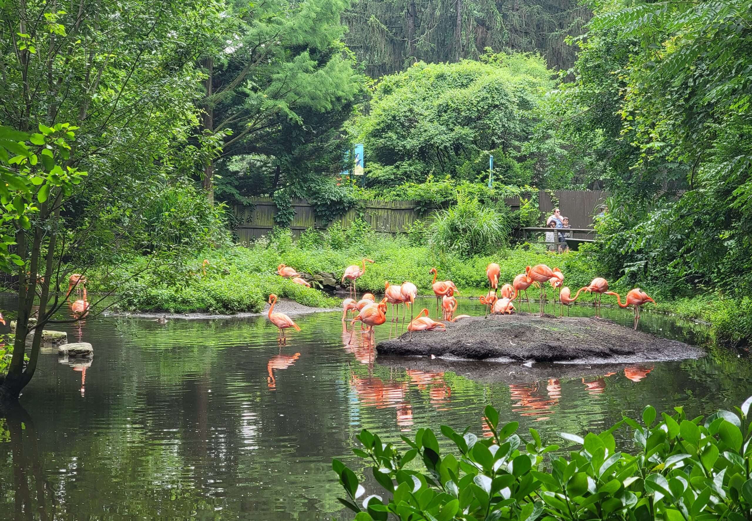 Explore the best things to do in New York: Bronx Zoo