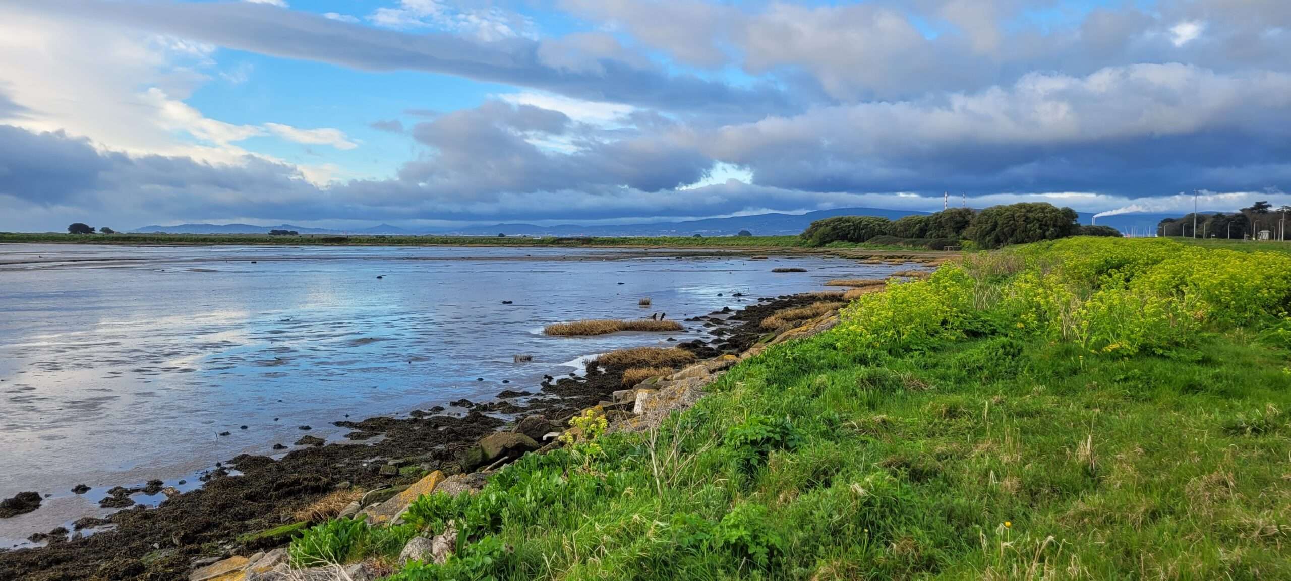 Explore the best beaches in Dublin: Dollymount Strand