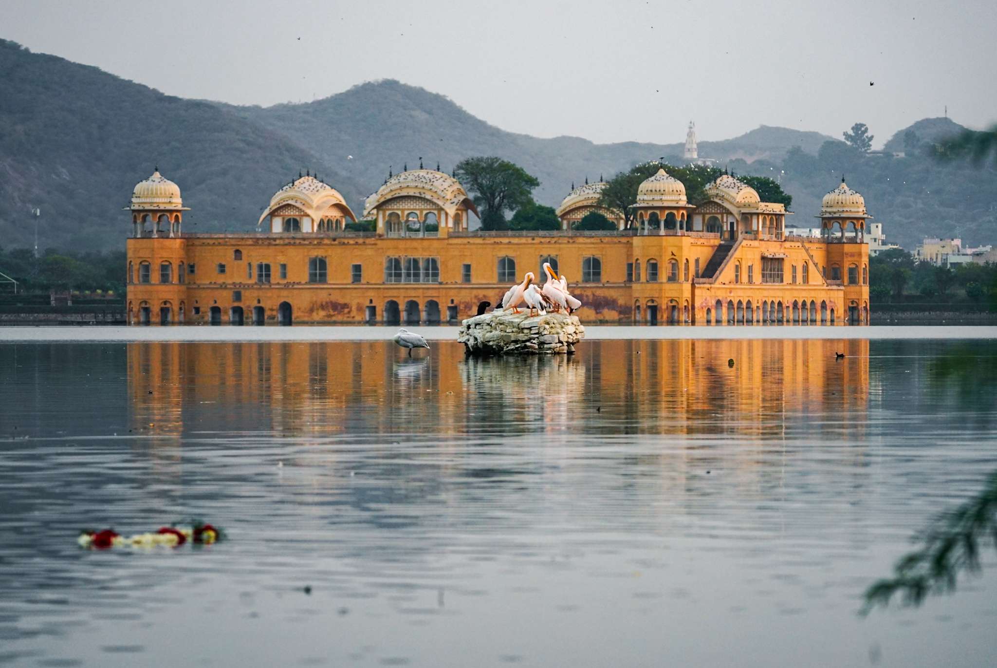 Explore the best things to do in Jaipur: Jal Mahal