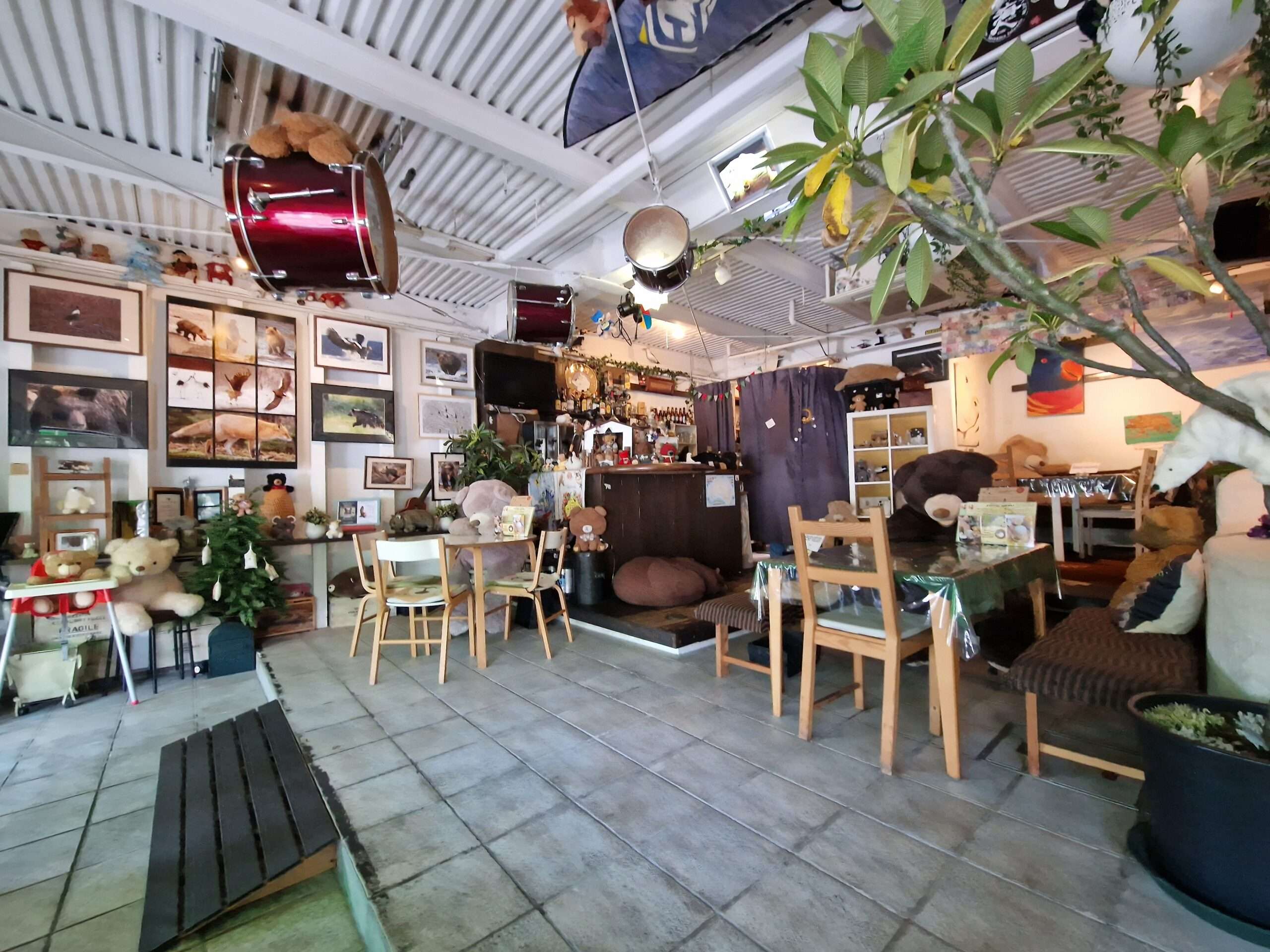 Explore the best restaurants in Osaka: Kuma Kafe 