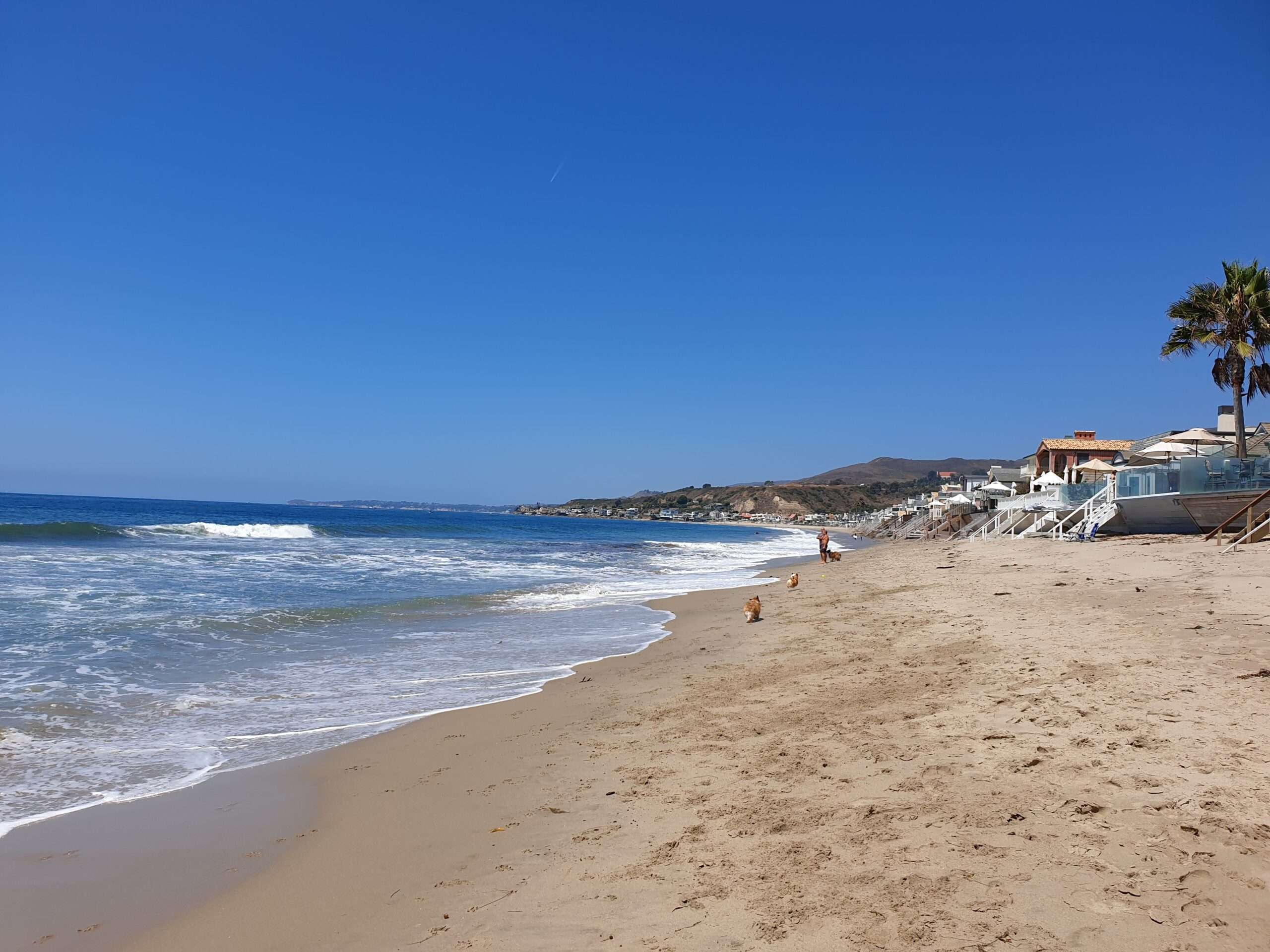 Explore the best beaches in Los Angeles: Malibu Lagoon State Beach 