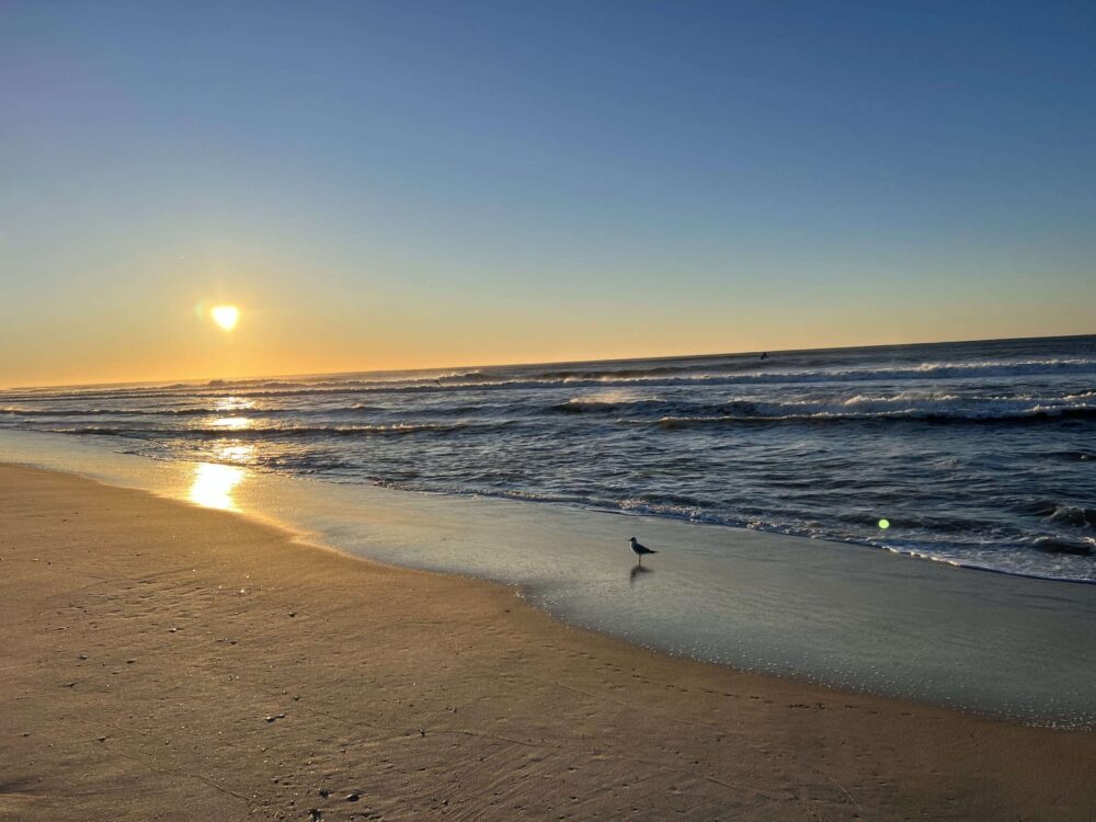 Explore the best beaches in New York: Robert Moses State Park