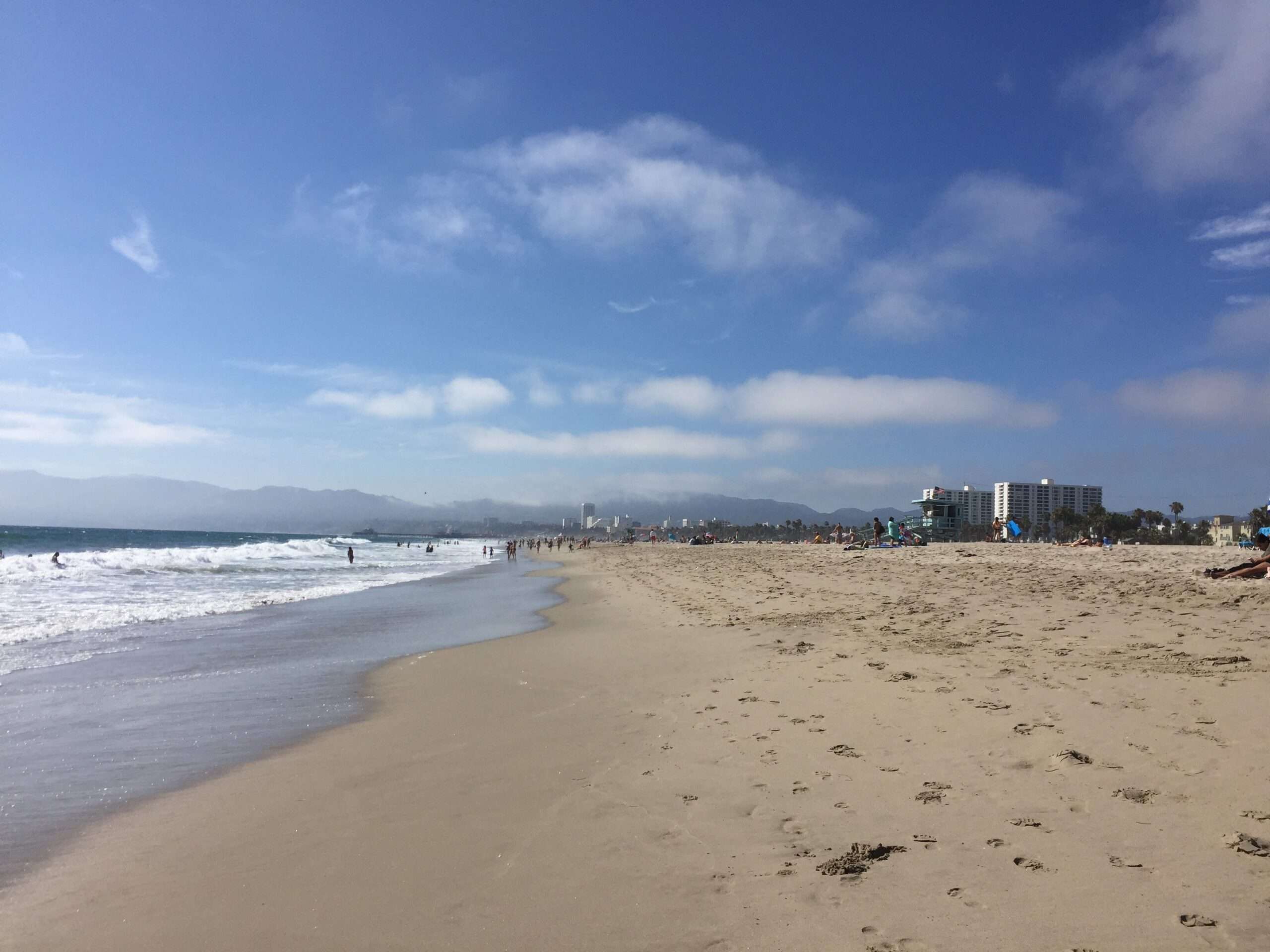 Explore the best things to do in Los Angeles: Venice Beach